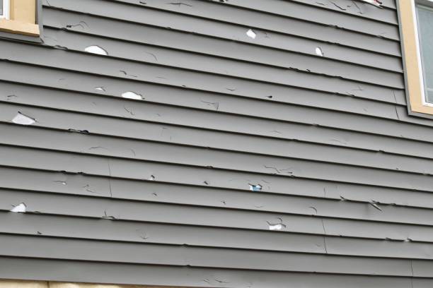 How To Choose The Right Materials for Your Siding Installation in 'Blackwater, AZ